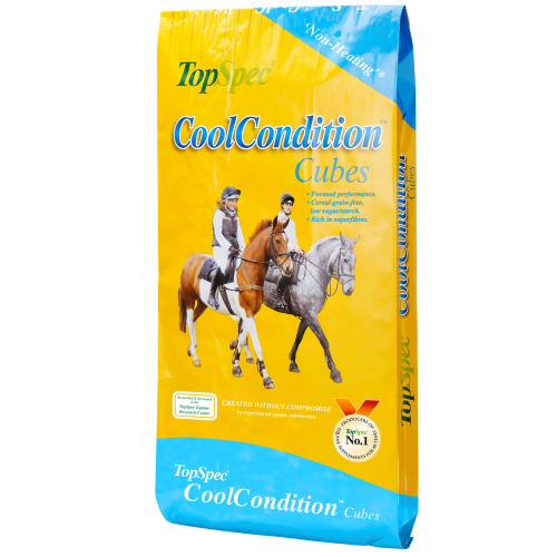 TopSpec Cool Condition Cube