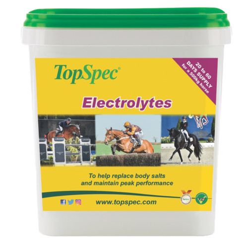 Topspec Electrolytes 3kg