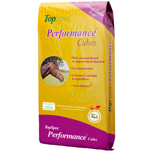 TopSpec Performance Cubes