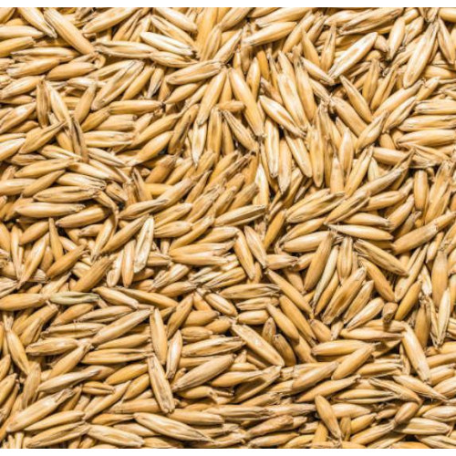 Whole Oats 20kg