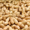 Bartholomews Peanuts in Shells