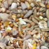 Bartholomews Wild Bird Premium
