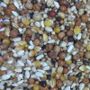 Bartholomews Gem Cowood Mix