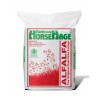 Horse Hage Red (Lucerne)