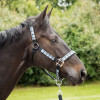 KM Elite Head Collar Padded Tartan Small