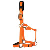 KM Elite Head Collar Cob Hot Orange Medium