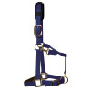 KM Elite Head Collar Shetland Navy Blue XXXS
