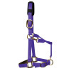 KM Elite Head Collar Full Purple Large