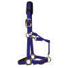 KM Elite Head Collar Full Royal Blue Large
