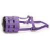 Muzzle Cob Purple