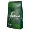 Saracen Equi-Jewel Pellts