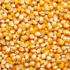 Maize Whole 20kg