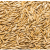 Whole Oats 20kg