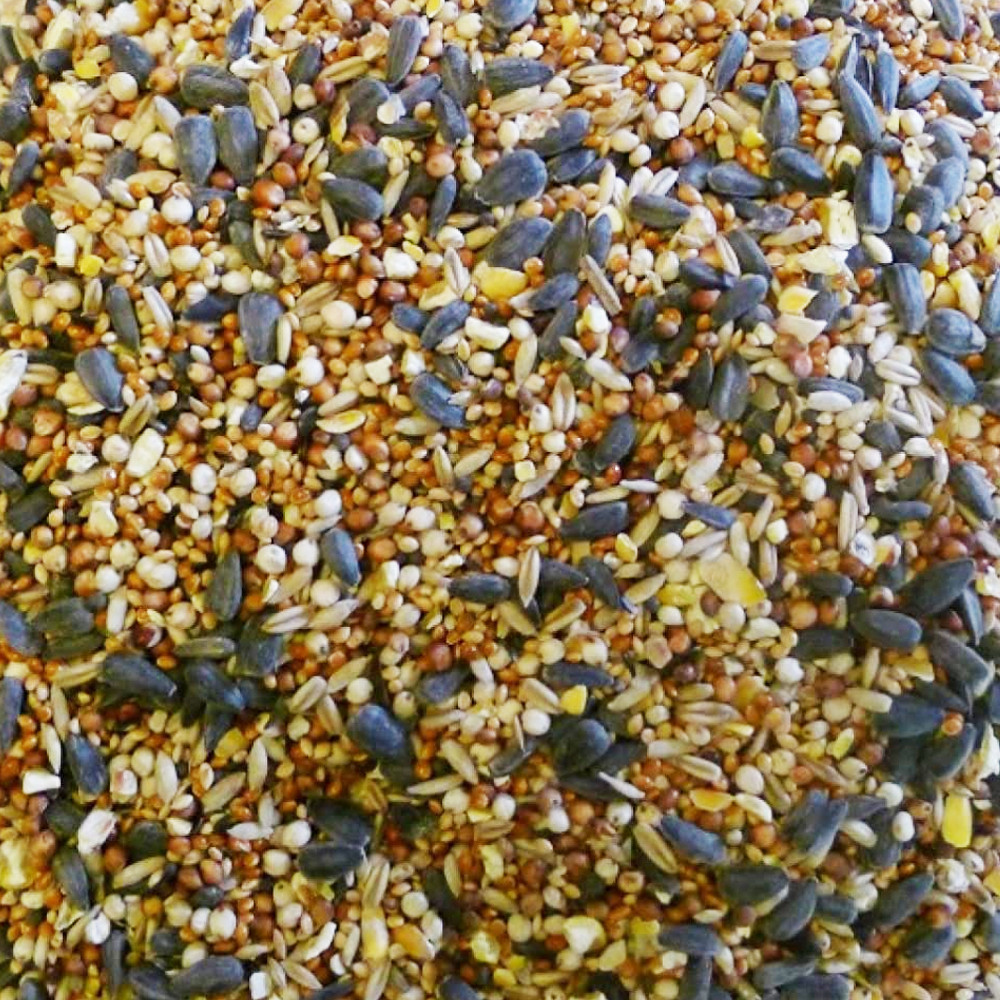 colonels premium wild bird seed